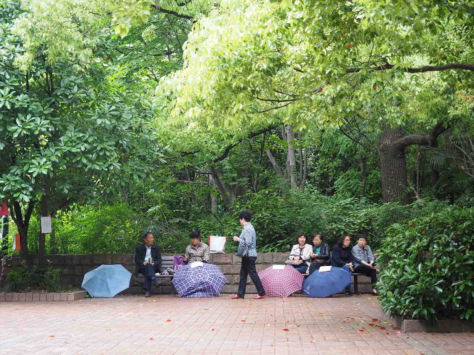 Parents at the weekend ‘marriage market’ in Shanghai People’s Park | Local's guide to the real Shanghai