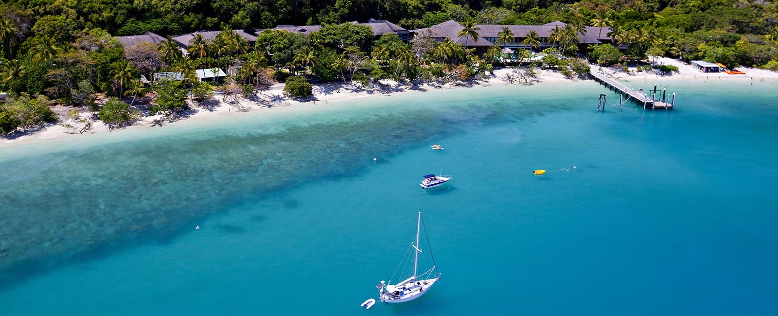 Fitzroy Island Resort, Great Barrier Reef, Queensland | The trees helping to save the reef