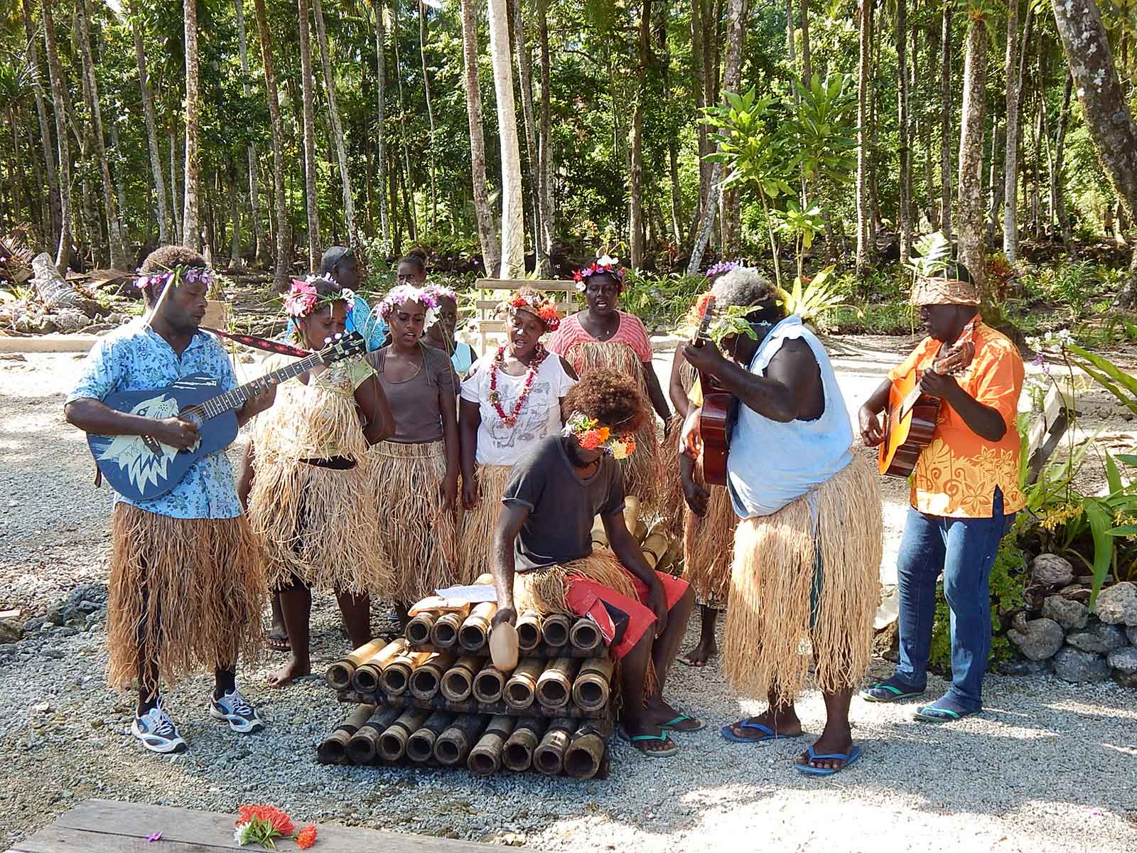 The welcome committee at Titiru Eco Lodge