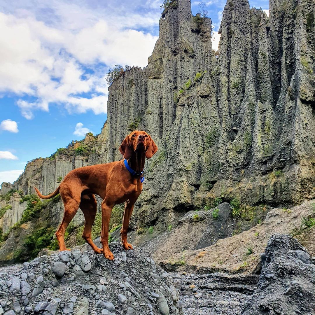 Putangirua Pinnacles 